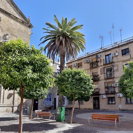 Sunshine Vista Al Compas *