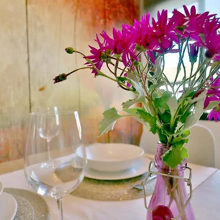 Sunshine Vista Al Compas *